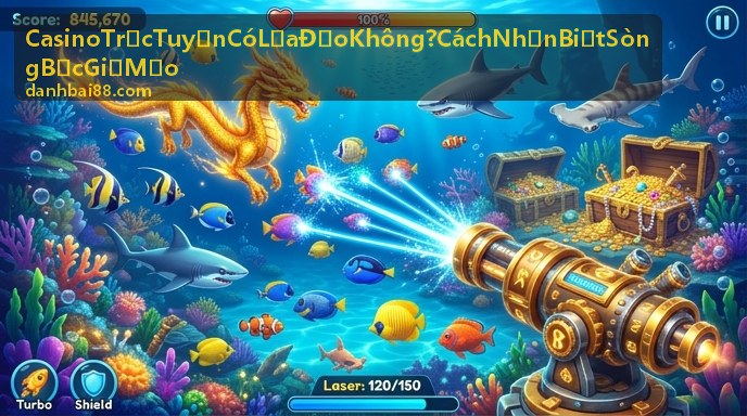 Quy trình kiểm tra Casino Trực Tuyến Có Lừa Đảo Không - Cách Nhận Biết Sòng Bạc Giả Mạo